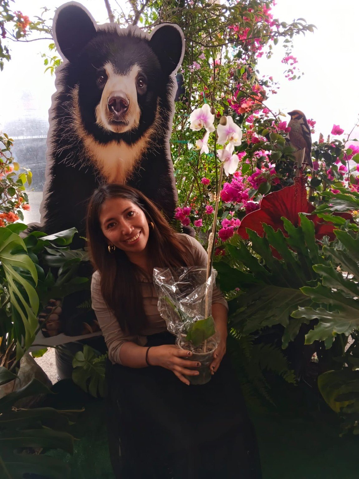 Orquídeas San José 21