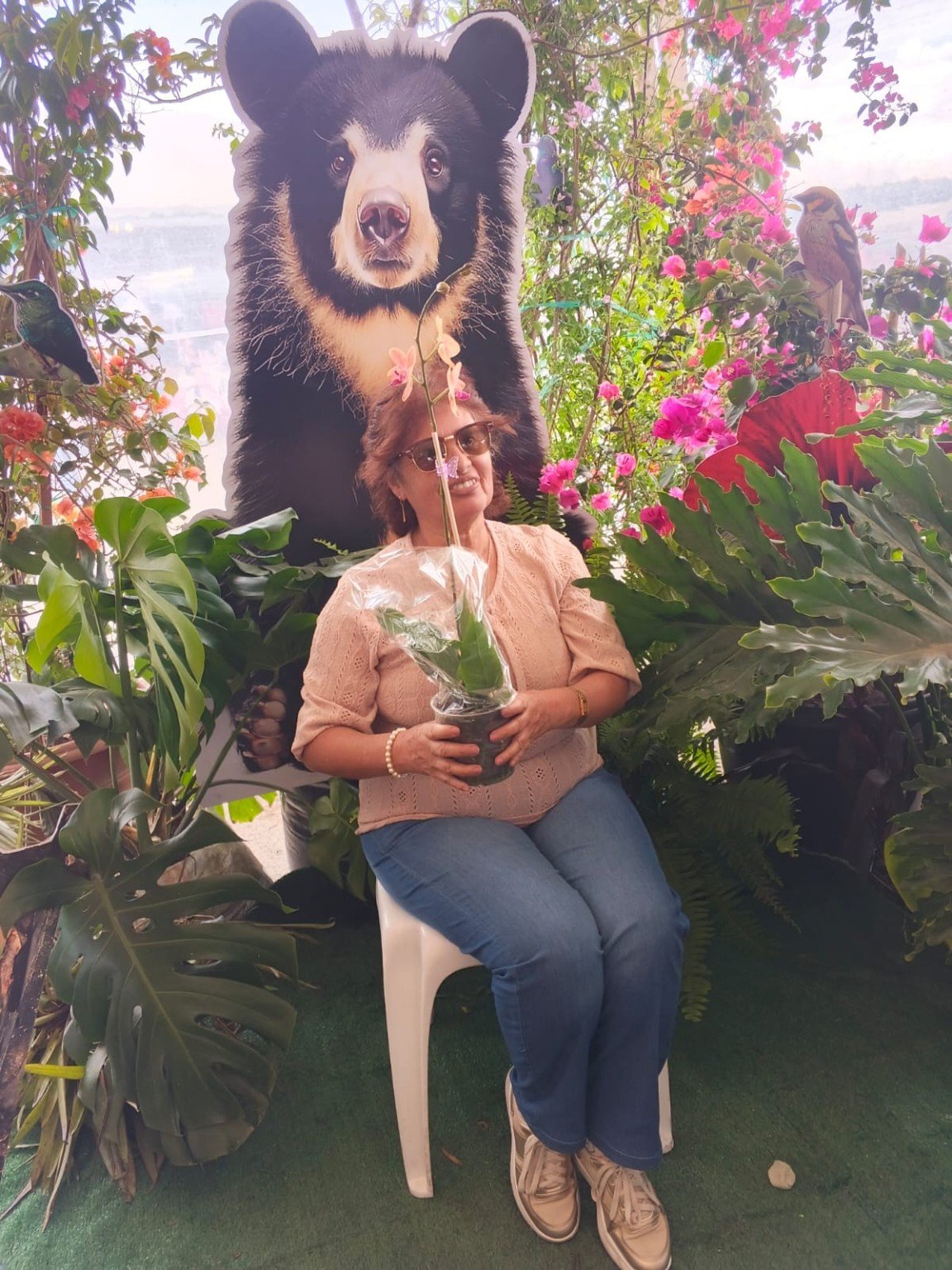 Orquídeas San José 24