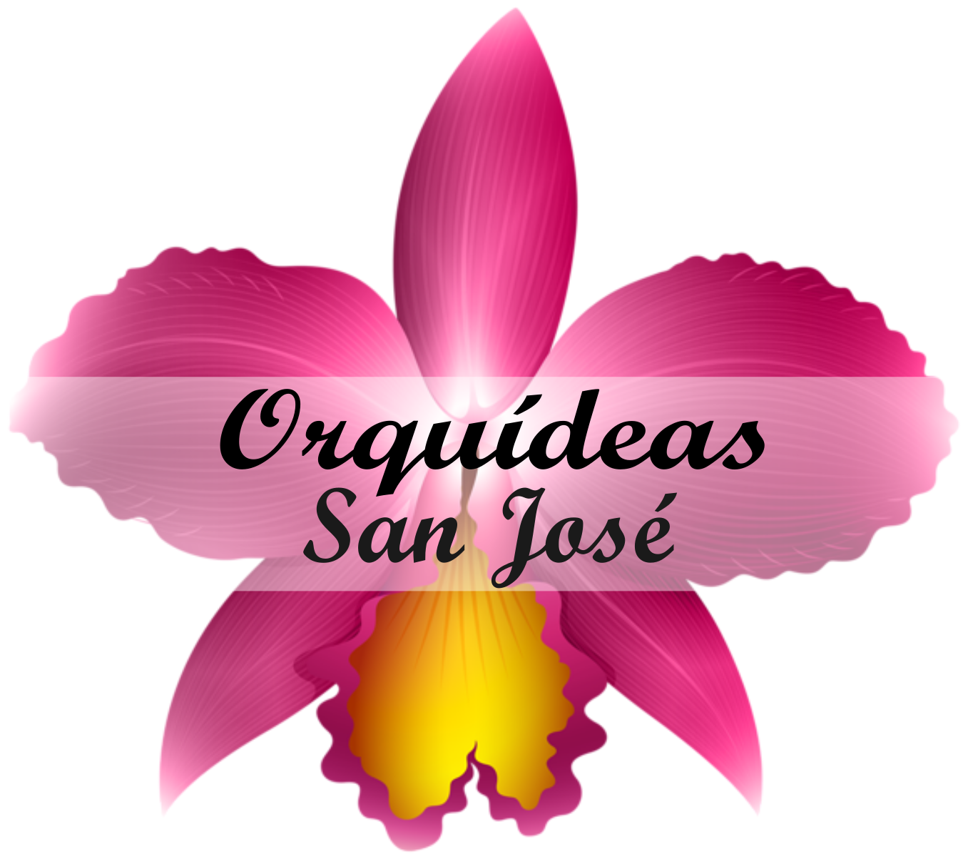 Orquídeas San José